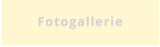 Fotogallerie